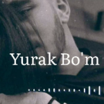 Постер к песне Sardor Safarov - Yuragim bo'm bo'sh