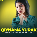 Постер к песне Munisa Norsafarova - Qiynama yurak